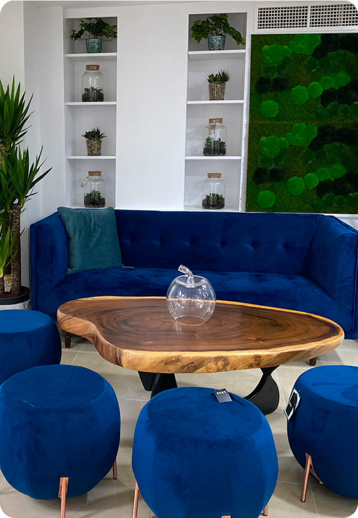 Stylish coworking space with blue sofa